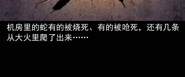 《三老爷诡事会》朋友的故事 第81页