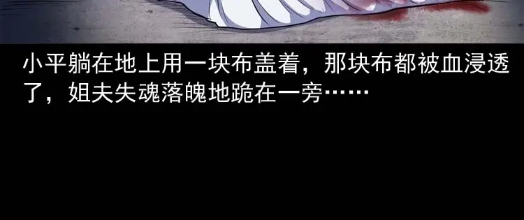 《三老爷诡事会》招魂 第65页