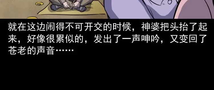 《三老爷诡事会》招魂 第127页