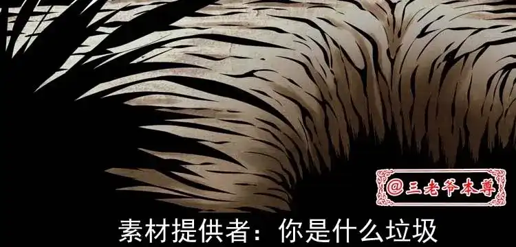 《三老爷诡事会》坟坑 第3页