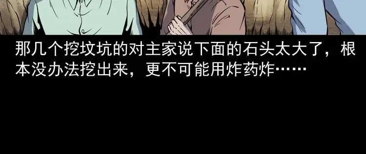 《三老爷诡事会》坟坑 第33页