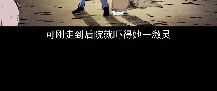 《三老爷诡事会》坟坑 第95页