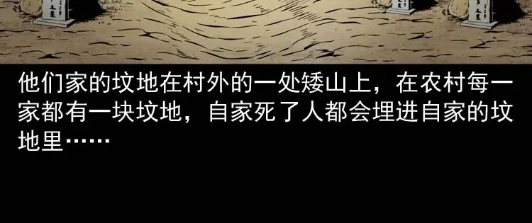 《三老爷诡事会》坟坑 第21页