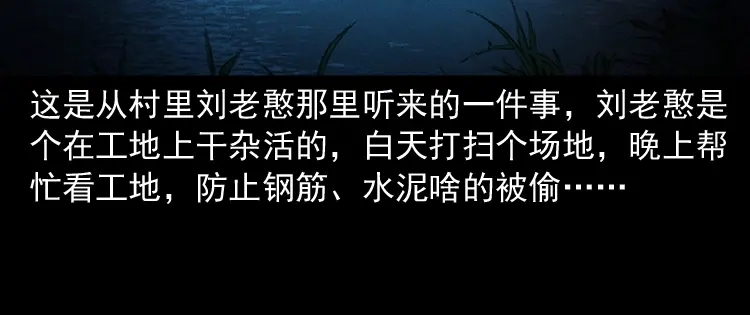 《三老爷诡事会》桥上怨魂 第5页