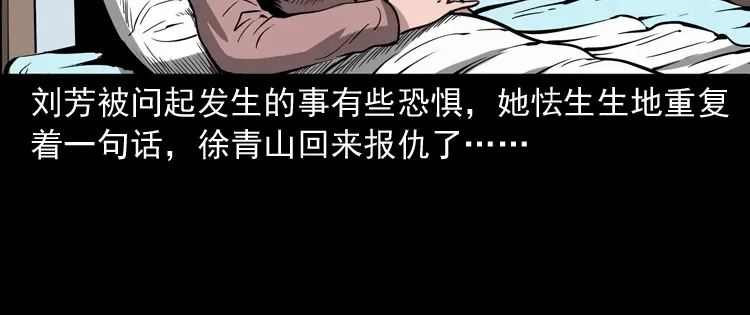 《三老爷诡事会》亡魂复仇（上） 第47页