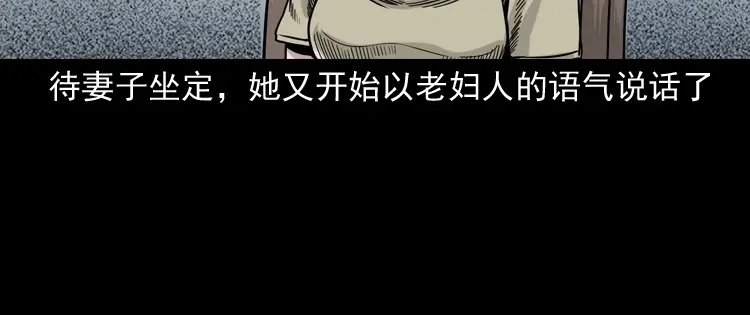 《三老爷诡事会》争坟 第115页