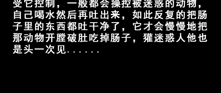 《三老爷诡事会》人面獾 第87页