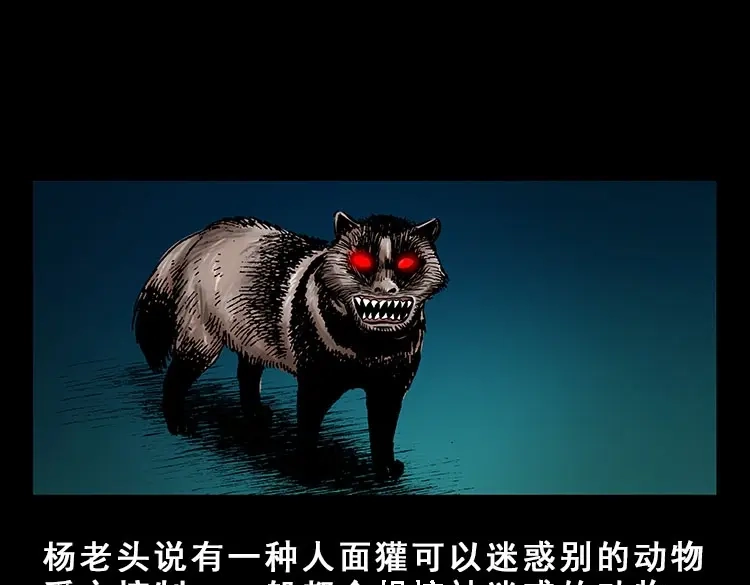 《三老爷诡事会》人面獾 第86页