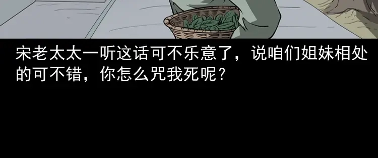 《三老爷诡事会》崔家老太太 第31页