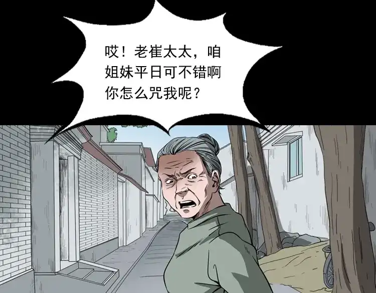 《三老爷诡事会》崔家老太太 第30页