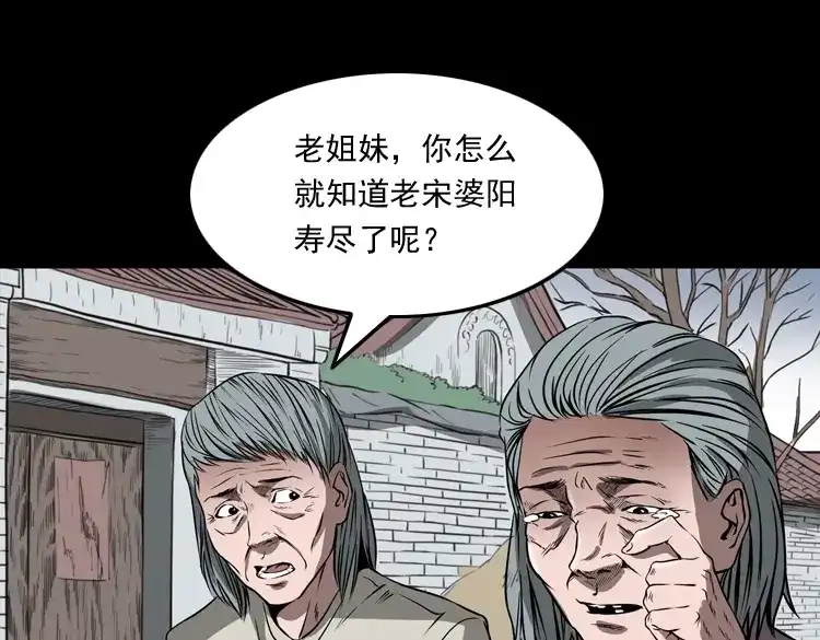《三老爷诡事会》崔家老太太 第48页