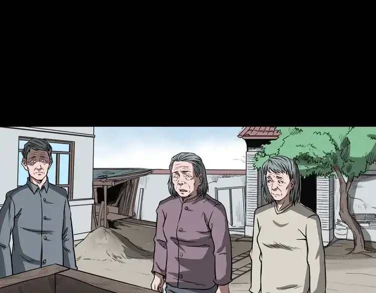 《三老爷诡事会》崔家老太太 第44页