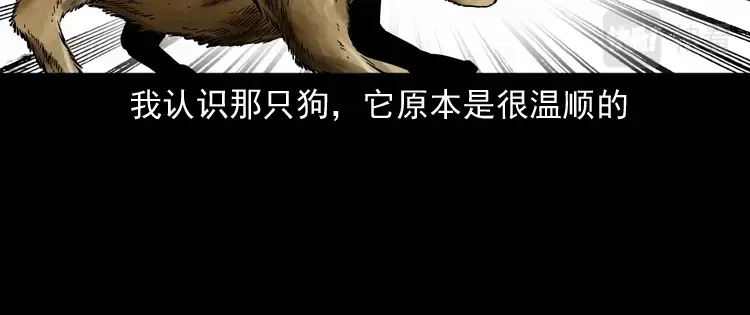 《三老爷诡事会》我儿子的故事 第101页