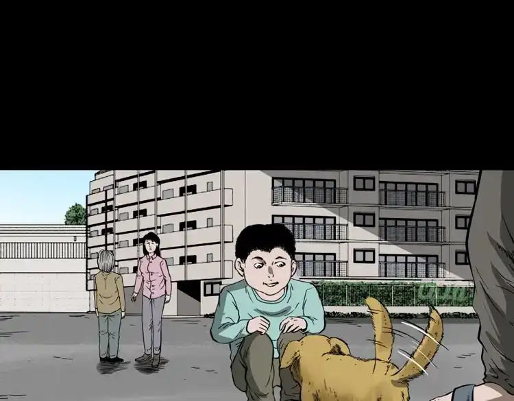 《三老爷诡事会》我儿子的故事 第52页