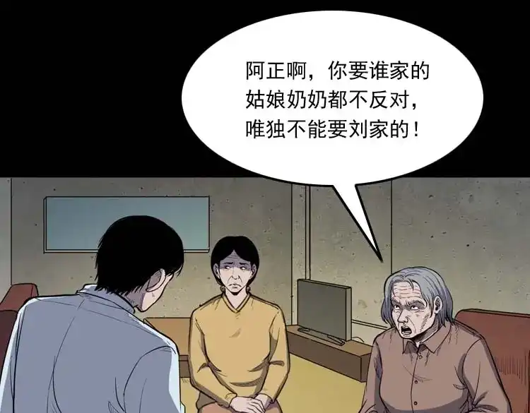 《三老爷诡事会》诅咒 第4页