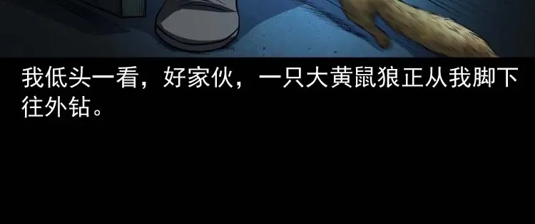 《三老爷诡事会》黄皮子医院 第83页