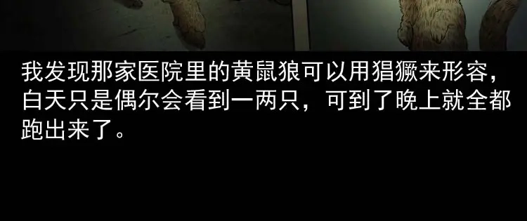 《三老爷诡事会》黄皮子医院 第31页