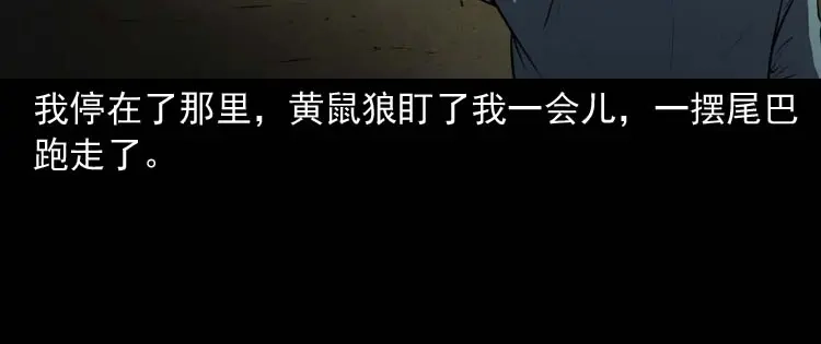《三老爷诡事会》黄皮子医院 第91页