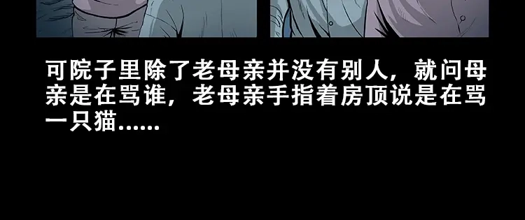 《三老爷诡事会》黑猫 第11页