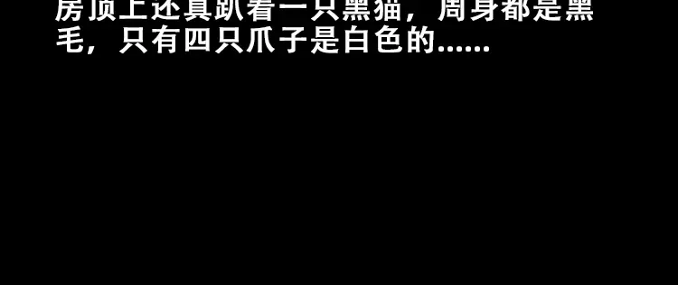 《三老爷诡事会》黑猫 第15页