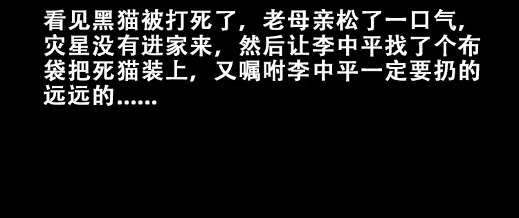 《三老爷诡事会》黑猫 第33页