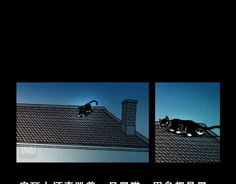 《三老爷诡事会》黑猫 第14页