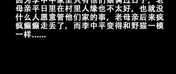《三老爷诡事会》黑猫 第81页