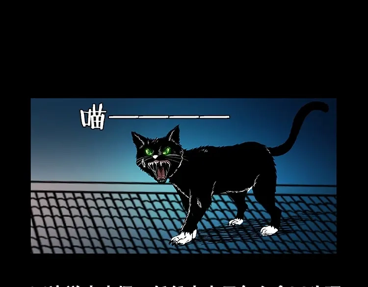 《三老爷诡事会》黑猫 第22页