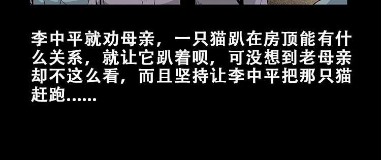 《三老爷诡事会》黑猫 第17页
