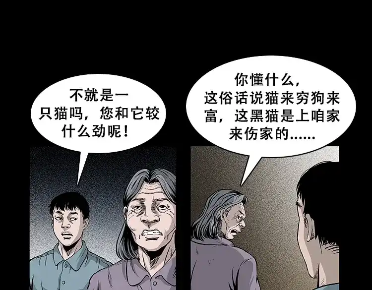 《三老爷诡事会》黑猫 第16页