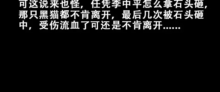 《三老爷诡事会》黑猫 第23页