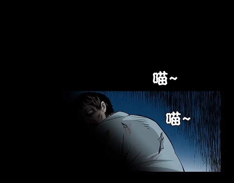 《三老爷诡事会》黑猫 第78页