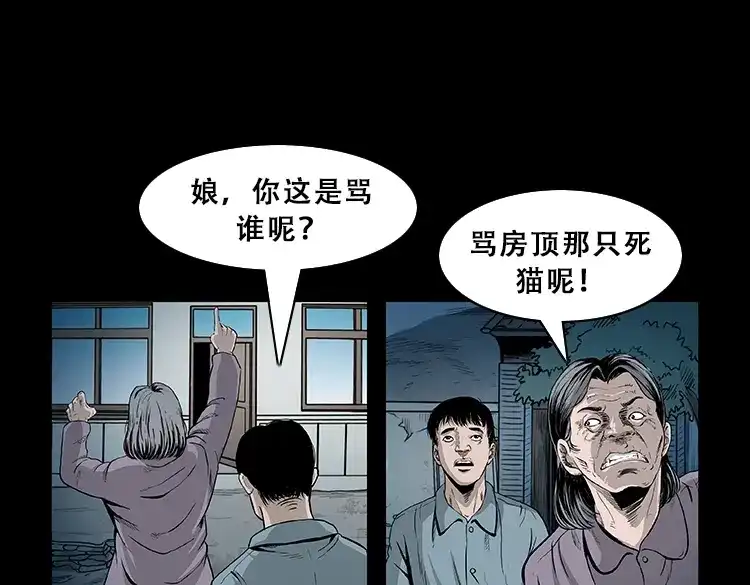 《三老爷诡事会》黑猫 第10页