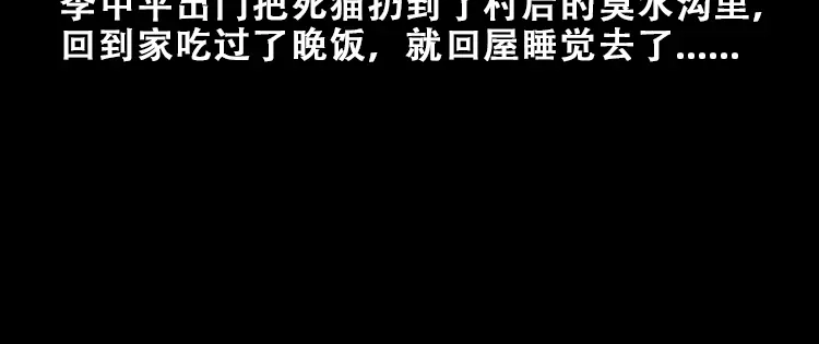 《三老爷诡事会》黑猫 第35页
