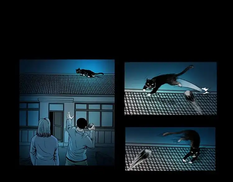 《三老爷诡事会》黑猫 第20页