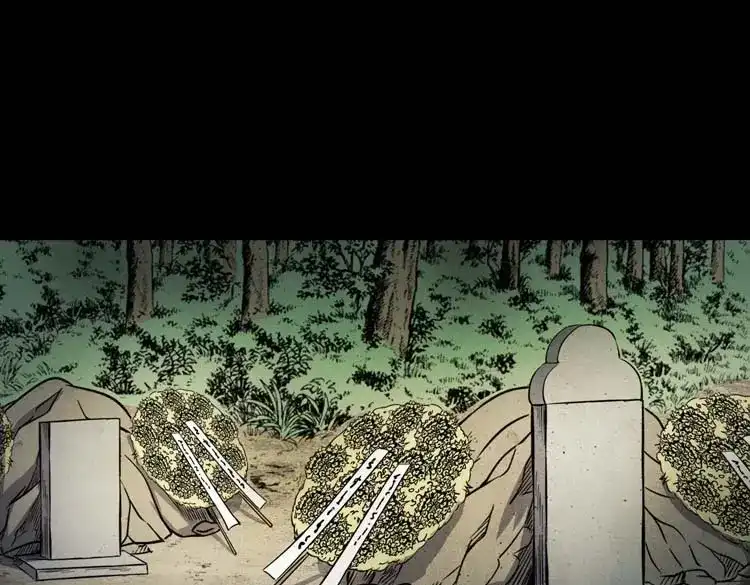 《三老爷诡事会》火刑 第48页