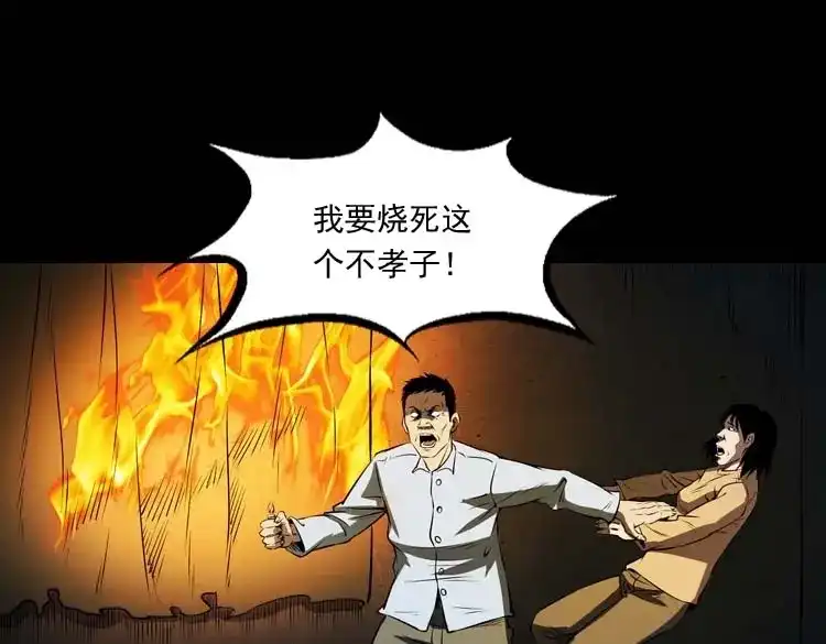 《三老爷诡事会》火刑 第86页