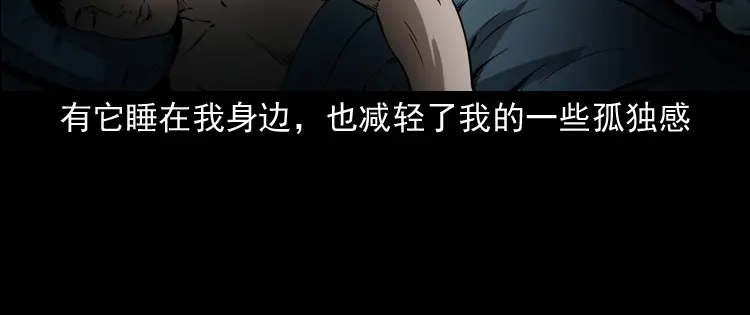 《三老爷诡事会》木偶杀机 第29页