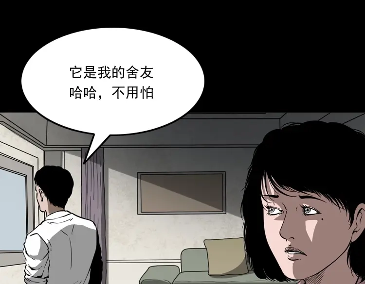 《三老爷诡事会》木偶杀机 第44页