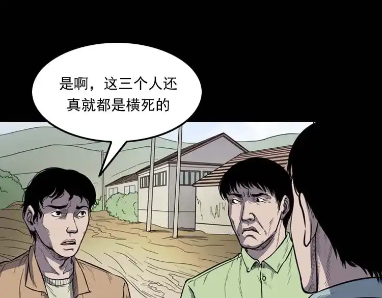 《三老爷诡事会》五棺莲花阵 第95页