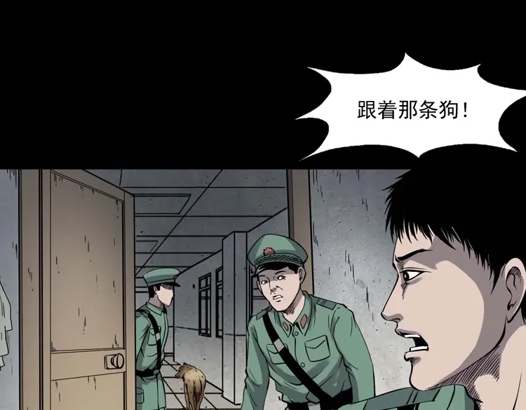 《三老爷诡事会》消失的妻子 第174页