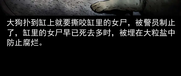 《三老爷诡事会》消失的妻子 第185页