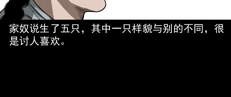 《三老爷诡事会》首富王大利 第105页