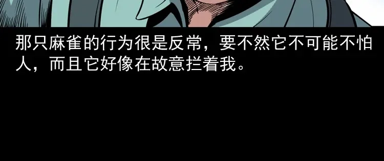 《三老爷诡事会》舅舅的故事 第131页
