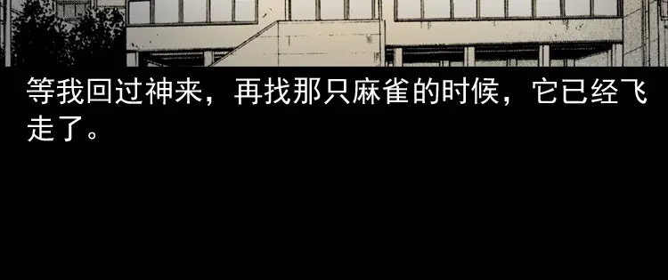 《三老爷诡事会》舅舅的故事 第147页