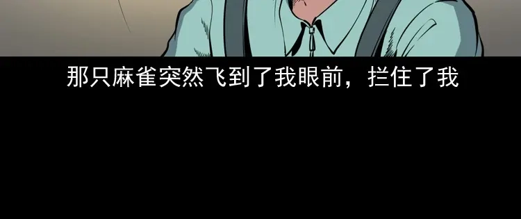 《三老爷诡事会》舅舅的故事 第137页
