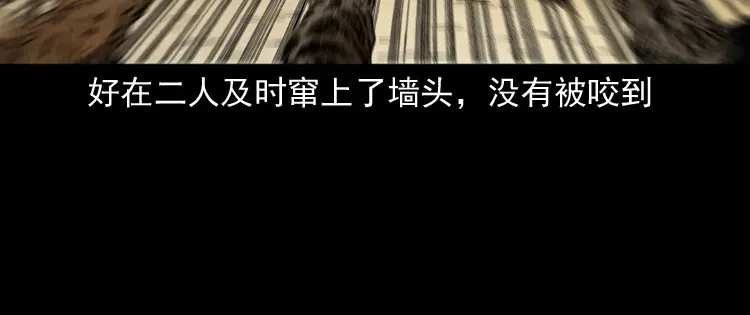 《三老爷诡事会》僵尸事件（二） 第37页