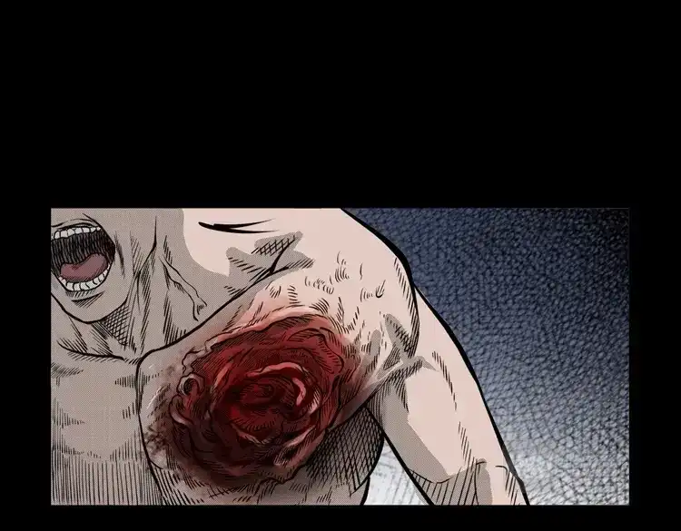 《三老爷诡事会》花疮咒 第44页
