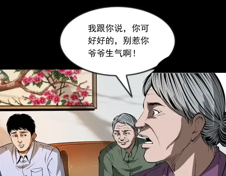 《三老爷诡事会》亲事 第46页