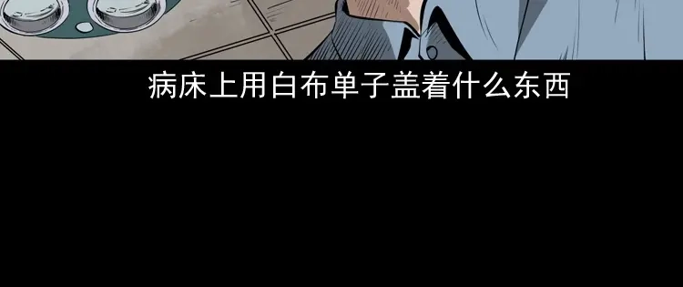 《三老爷诡事会》蜘蛛人（上） 第161页